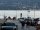 Verbania
Democrazia Cristiana: su estate a Pallanza